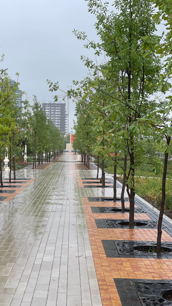 Приствольная решетка для дерева ZKING CRUST 1.2х1.2м Черная в Нягани фото