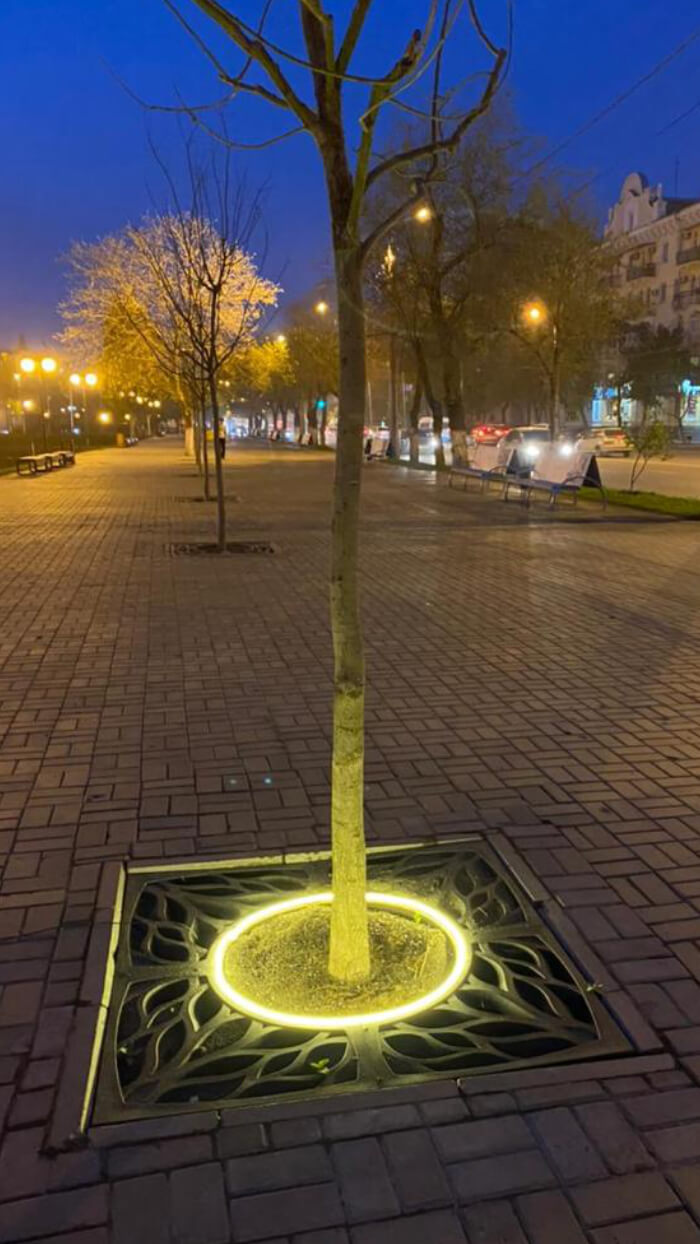 Приствольная решетка для дерева ZKING CRUST 1.2х1.2м Черная в Нягани фото